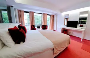 Casa Varful Cu Dor - Room