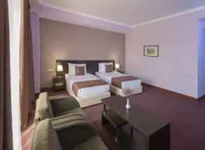Ani Central Inn - Room