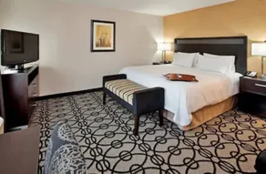 Hampton Inn & Suites Columbia South Fort Meade Area - Chambre