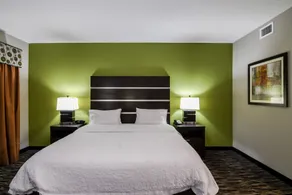 Hampton Inn Foley - Chambre