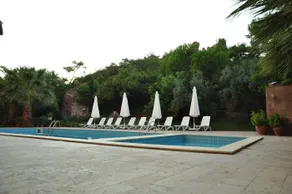 Palm Court Suites - Pool