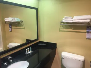 Quality Inn & Suites Lenexa Kansas City - Salle de bain