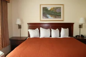 Country Inn & Suites by Radisson, Bentonville South - Rogers, AR - Chambre