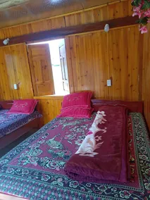 Freedom Homestay - Room