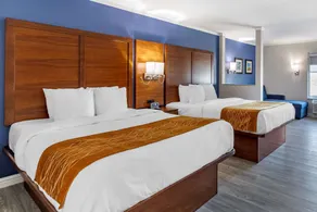 Comfort Suites St Louis - Sunset Hills - Chambre