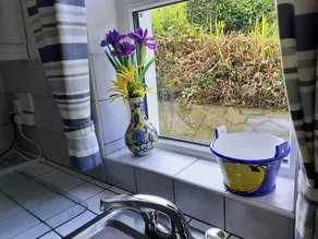 Lackaroe Cottage - Baño
