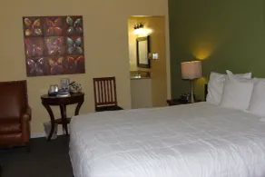 Tea Garden Lodge - Vue de la chambre