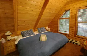 Snowline Cabin 35 - A Pet-friendly Country Cabin, Now has air Conditioning! - Værelse