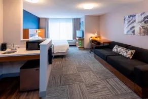 SpringHill Suites Rochester Mayo Clinic Area / Saint Marys - Chambre