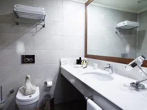 Euro Park Otel - Salle de bain
