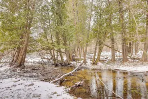 On-site Trails & Trout Stream! NW Michigan Escape - Interiør