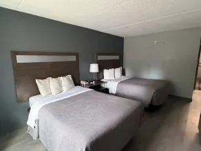 Q Lodge - Room