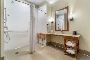Comfort Inn & Suites Lakewood by JBLM - Salle de bain