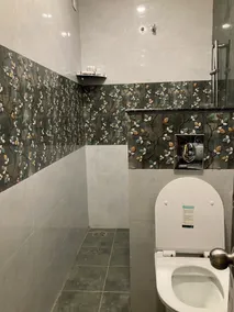 MURALI KRISHNA APART HOTEL - Badeværelse