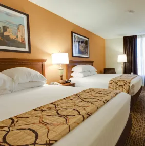 Wingate by Wyndham St Louis-Fenton Route 66 - Chambre