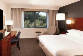 Marriott Raleigh Durham Research Triangle Park - Chambre