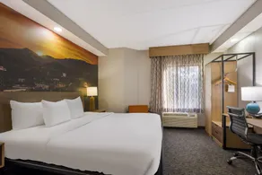 Clarion Pointe Sevierville-Pigeon Forge - Chambre
