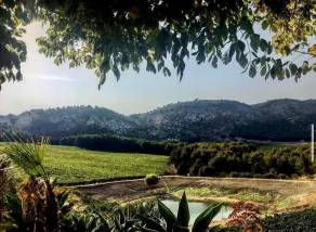 Agriturismo Tenute Pispisa Segesta - Udsigt fra værelset
