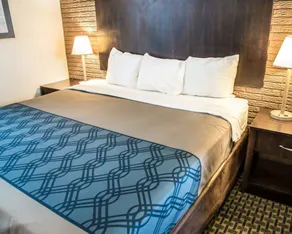 Rodeway Inn & Suites Wilmington North - Chambre