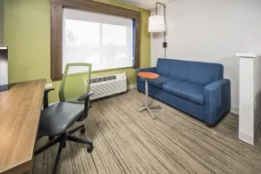 Holiday Inn Express Chicago Northwest-Vernon Hills by IHG - Chambre