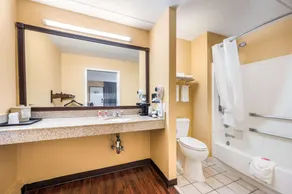 Econo Lodge Columbus near Airport - Salle de bain