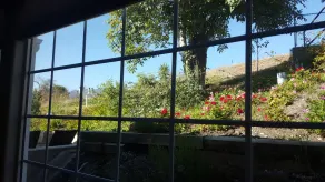 Malibu Country Inn - Vue de la chambre