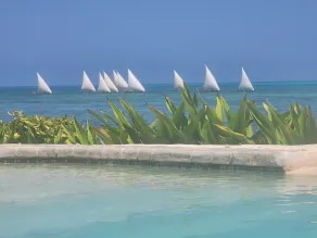 Lost Soles Lodge - Pool