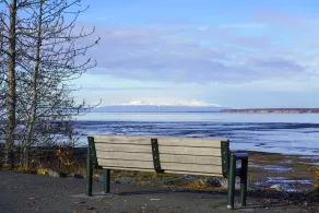 Alluring Anchorage Apt - Walk to Coastal Trl! - Innvendig