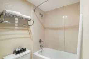 Quality Inn near Speedway - Bathroom