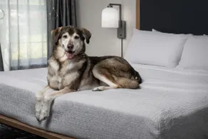 Homewood Suites by Hilton Vancouver-Portland - Chambre