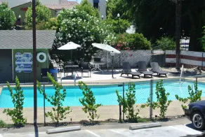 Vino Inn & Suites - Piscine