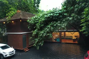 Athirapally Green Trees - Réception