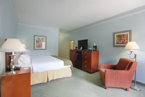 Holiday Inn Express Tampa North Telecom Park by IHG - Zimmer