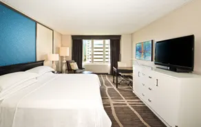 Hilton St. Petersburg Bayfront - Room