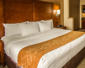 Quality Suites NYC Gateway - Chambre
