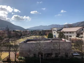 Mount View Hakone - View from room