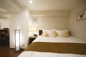 Le Tour Hotel Akihabara Ekimae 楽途ホテル秋葉原駅前店 - Room
