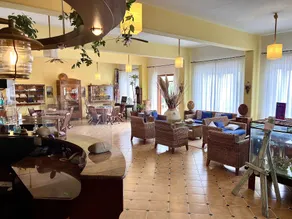 Hotel Ortensia - Réception