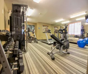 Sonesta Simply Suites St Louis Earth City - Salle de remise en forme