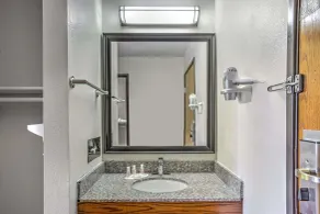 Days Inn by Wyndham Le Roy/Bloomington Southeast - Badeværelse