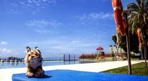 Gran Hotel del Coto - Pool
