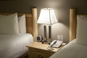Swiss Chalet Motel - Chambre
