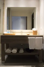 Hampton Inn by Hilton Durango - Salle de bain
