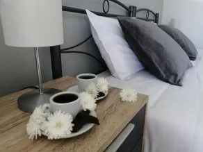 Roza's Home and Studios - Habitación