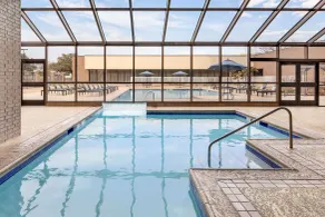Hilton Arlington - Piscine