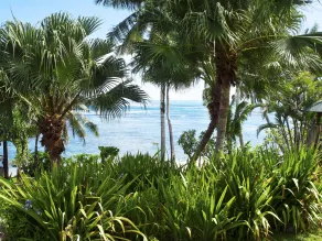 Sinalei Reef Resort & Spa - View from room