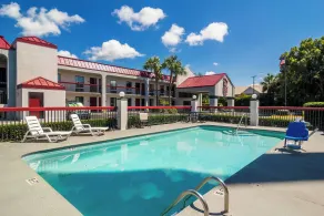 Red Roof Inn Kingsland - Piscina