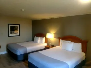 Inn at the Convention Center - Chambre