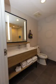 Tru by Hilton Plano Hwy 75 - Salle de bain