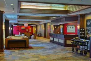 DoubleTree by Hilton Asheville - Biltmore - Réception